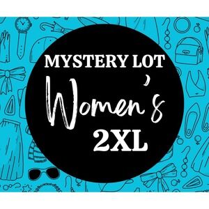 Womens Mystery Sweater Lot 3 Piece Bundle XXL Plus Size Mixed Knit Pullovers‎